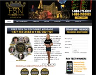 FSNinfo